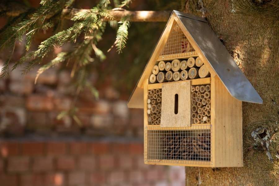 Un hôtel à insectes en bois avec un toit en métal est solidement fixé sur le tronc rugueux d'un arbre dans un jardin ensoleillé.